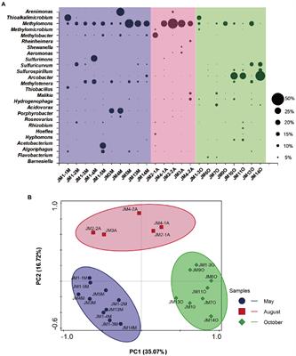 Frontiers | Seasonal Variation Of Microbial Community And Methane ...